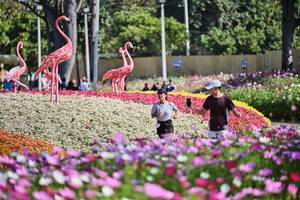 BIB: 
                            <button type="button" onclick="openModal(27804614)" class="btn btn-primary btn-sm float-right btn-popup" data-toggle="modal" data-target=".modal-high-quality">
                        <i class="fas fa-shopping-cart"></i> Add to Cart
                    </button>
                                            <button type="button" onclick="isThisMe(27804614, true)" class="btn btn-success btn-sm float-right btn-popup btn-isme hidden" data-toggle="tooltip" data-placement="bottom" title="นี่คือรูปของคุณใช่ไหม คลิกที่นี่เพื่อเอาเข้าอัลบั้ม">
                        <i class="fas fa-plus"></i> Add to album
                    </button>
                    <button type="button" onclick="isThisMe(27804614, false)" class="btn btn-warning btn-sm float-right btn-popup btn-isnotme hidden">
                        <i class="fas fa-ban"></i> Remove from album
                    </button>